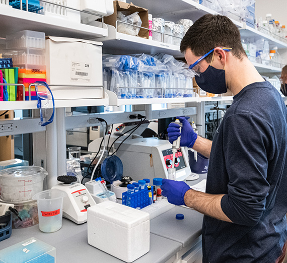 은하의 별들과 학생의 사진